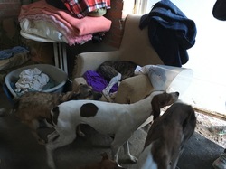 Sauvetage à Salamanca les 27 & 28.10.2018