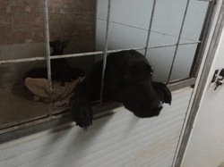 Sauvetage à Salamanca les 27 & 28.10.2018