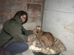 Sauvetage à Salamanca les 27 & 28.10.2018