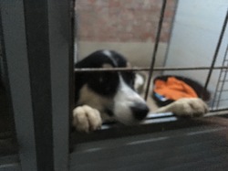 Sauvetage à Salamanca les 27 & 28.10.2018