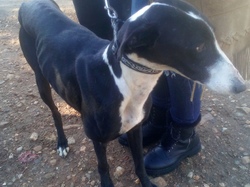 Sauvetage à Salamanca les 27 & 28.10.2018