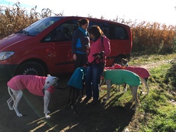 Sauvetage à Salamanca les 27 & 28.10.2018