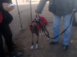 Sauvetage à Salamanca les 27 & 28.10.2018