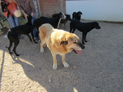 Sauvetage à Salamanca les 7 & 8.07.2022