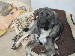 Sauvetage à Salamanca les 7 & 8.07.2022