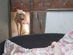 Sauvetage à Salamanca les 7 & 8.07.2022