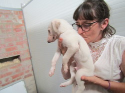 Sauvetage à Salamanca les 7 & 8.07.2022