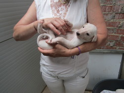 Sauvetage à Salamanca les 7 & 8.07.2022