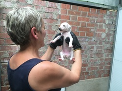 Sauvetage à Salamanca les 7 & 8.07.2022