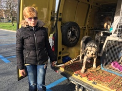 Sauvetage de 10 loulous le 23.12.2018