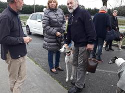 Sauvetage de 10 loulous le 23.12.2018