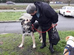 Sauvetage de 10 loulous le 23.12.2018