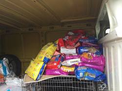 Sauvetage de 3 galgos de Salamanca  le 21.04.2019