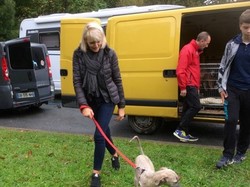 Sauvetage de 8 loulous le 01.11.2019