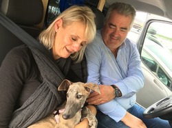 Sauvetage de 8 loulous le 01.11.2019