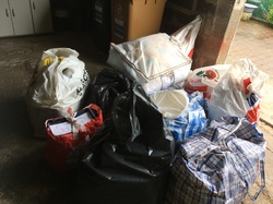 Sauvetage de 8 loulous les 30 & 31.05.2019