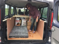 Sauvetage de 8 loulous les 30 & 31.05.2019