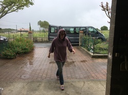 Sauvetage de 8 loulous les 30 & 31.05.2019