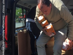 Sauvetage de 8 loulous les 30 & 31.05.2019