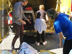 Sauvetage de 8 loulous les 30 & 31.05.2019