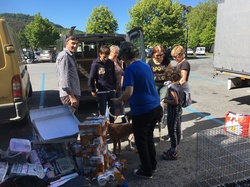 Sauvetage de 8 loulous les 30 & 31.05.2019