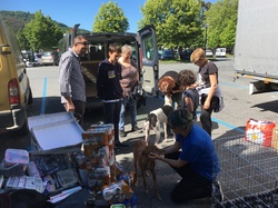 Sauvetage de 8 loulous les 30 & 31.05.2019