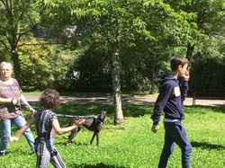 Sauvetage de 8 loulous les 30 & 31.05.2019