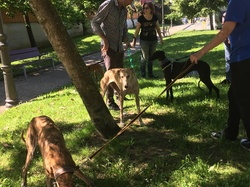 Sauvetage de 8 loulous les 30 & 31.05.2019