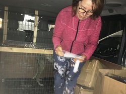 Sauvetage de 8 loulous les 30 & 31.05.2019