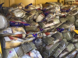 Sauvetage de 9 loulous le 29.03.2019