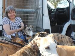 Sauvetage de 9 loulous le 29.03.2019