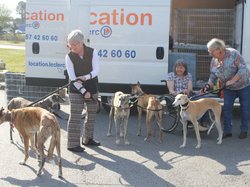 Sauvetage de 9 loulous le 29.03.2019