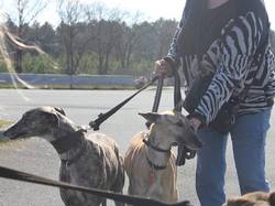 Sauvetage de 9 loulous le 29.03.2019