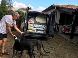 Sauvetage de Jalama le 19.08.2022