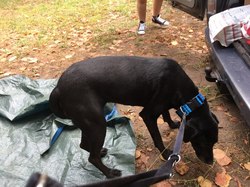 Sauvetage de Jalama le 19.08.2022