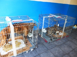 Sauvetage du 03/10/2014