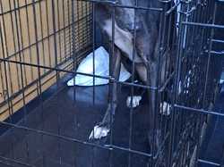 Sauvetage du 21.02.2026 Salamanca