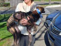 Sauvetage du 21.02.2026 Salamanca