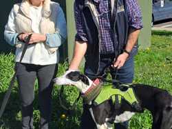 Sauvetage du 21.02.2026 Salamanca