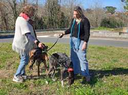 Sauvetage du 21.02.2026 Salamanca