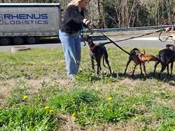 Sauvetage du 21.02.2026 Salamanca