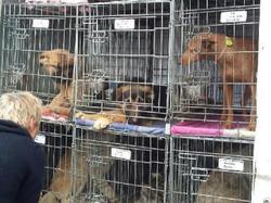 Sauvetage du 26.03.2016