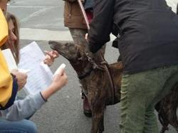 Sauvetage du 26.03.2016