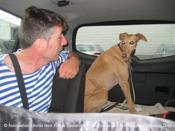 Sauvetage du 26/06/2014