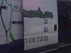 Sauvetage le 10.03.2021 de 8 galgas de  Salamanca