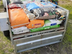 Sauvetage le 10.03.2021 de 8 galgas de  Salamanca