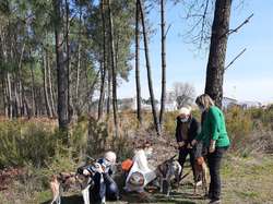 Sauvetage le 10.03.2021 de 8 galgas de  Salamanca