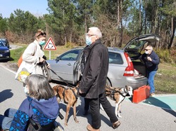 Sauvetage le 10.03.2021 de 8 galgas de  Salamanca