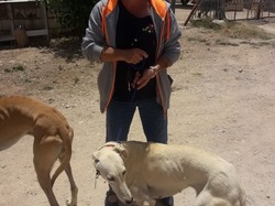 Sauvetage le 12.06.2020 de 11 loulous de Villarobledo