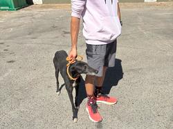 Sauvetage le 26.09.2025 de XENA